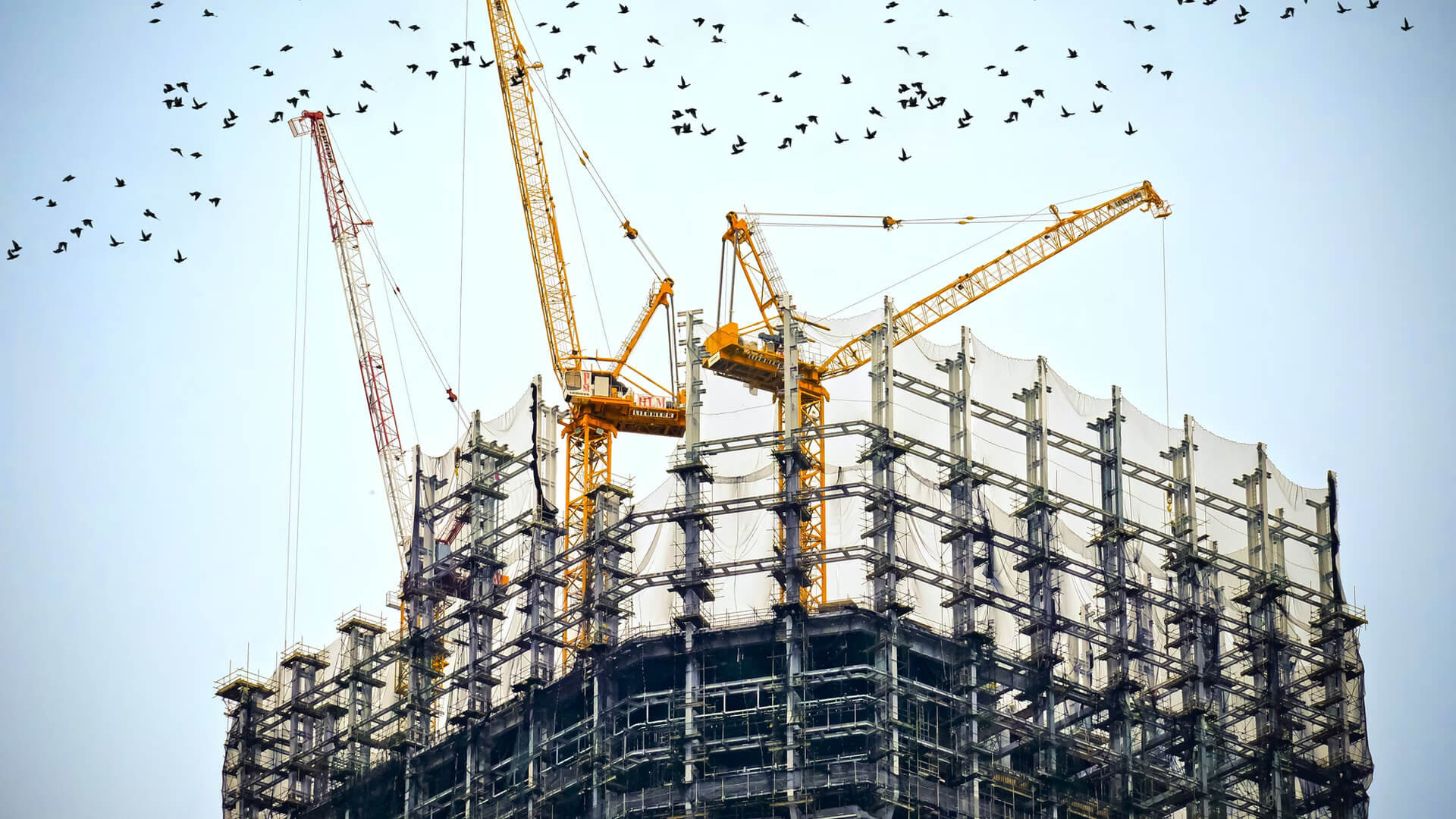 Engineering Consultation